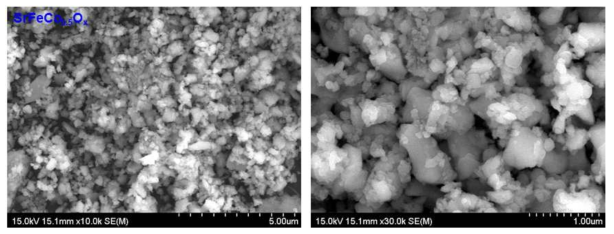 SrFeCo0.5Ox의 microstructure