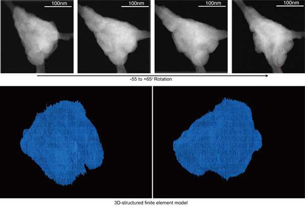 CuOx blank 나노파티클을 활용하여 3차원 tomo-STEM 분석 과정 및 모델링 결과