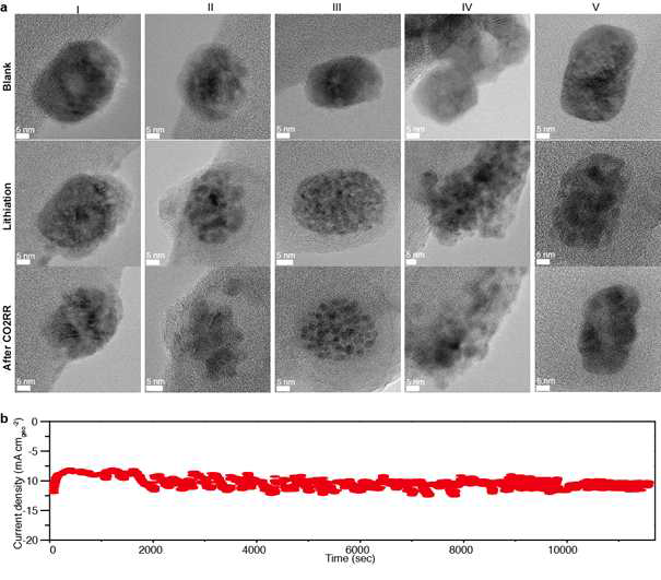 전기화학적 Lithiation/delithiation Step III에서 생성된 촉매를 활용하여 전기화학적 이산화탄소 환원반응 전후의 촉매 구조 변화 관찰 결과
