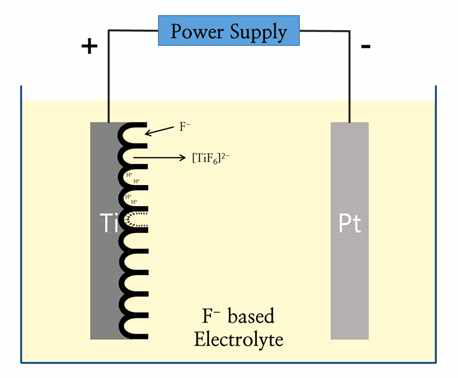 TNT anodization을 위한 2-전극 전기화학 셀
