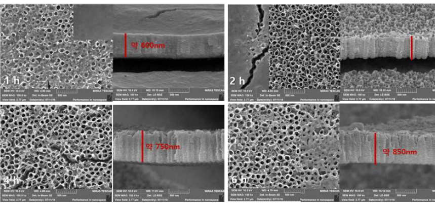TNT 제조 시 anodization 시간별 SEM 이미지