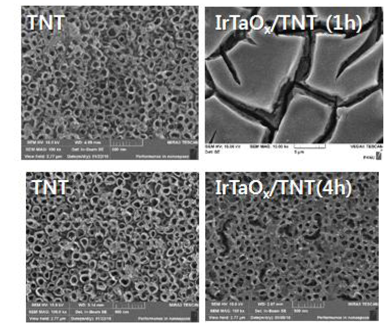 SEM 이미지. (위) TNT (1h anodization), IrTaOx/TNT (1h) (아래) TNT (4h anodization), IrTaOx/TNT (4h)