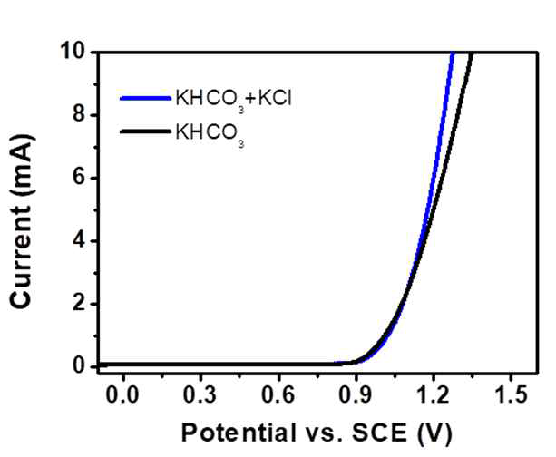 염소 이온 포함 유무에 따른 KHCO3 전해질의 LSV 곡선 (0.1 M KHCO3 with or without 0.1 M KCl)