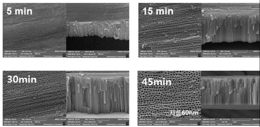 TNT anodization 시간 변화에 따른 nanotube 길이 및 기공 크기 변화