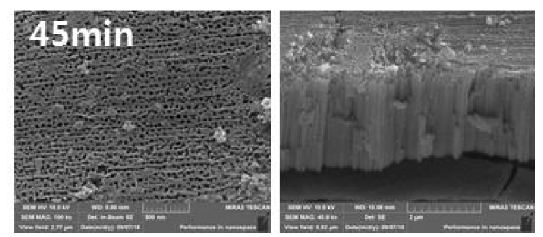 IrTaOx interlayer 1회 코팅 후 전극의 SEM 이미지