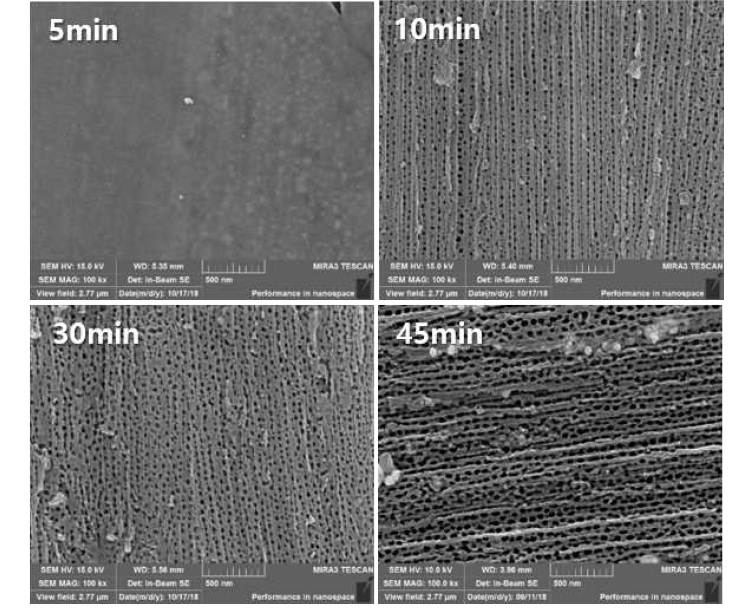 Anodization 시간에 따른 IrTaOx/TNT 전극의 SEM 이미지