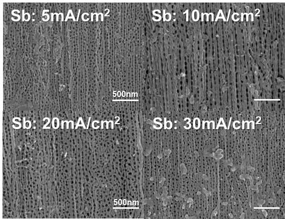Sb-SnO2/IrTaOx/TNT 전극의 SEM 이미지