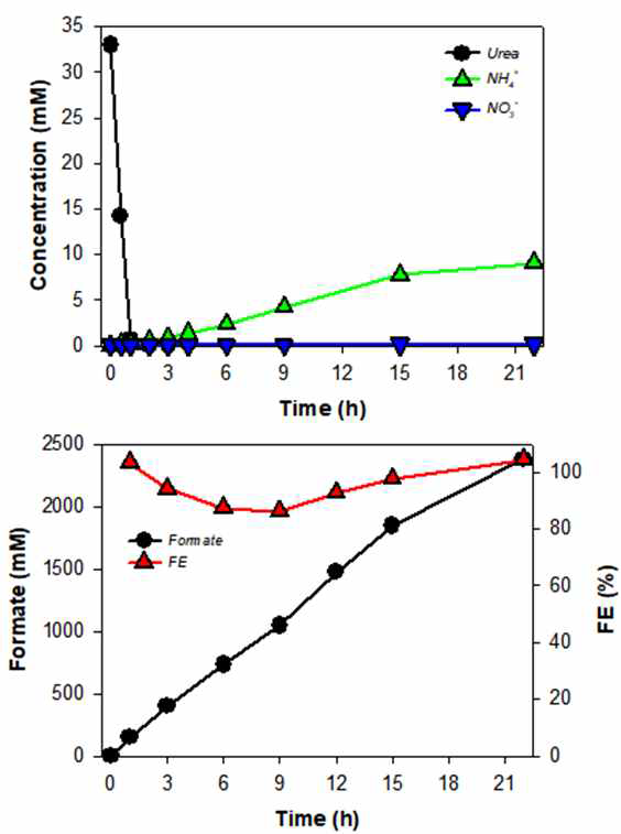 Multi-stack 탈염시스템을 적용한 산화-환원 동시구동 시스템에서의 urea분해 (상) 및 formate 생성(하)