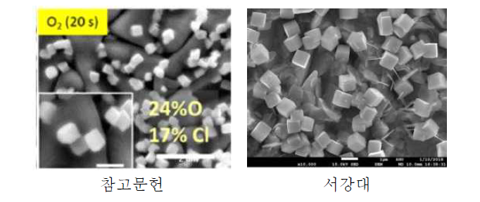 생성된 CuOx nano cube 관찰 (SEM image)