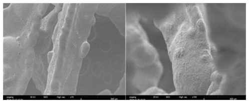 다공성 Cu foam 기반 전극 SEM 사진 (x 100) (왼쪽)기본 Cu foam, (오른쪽) Cu(OH)2 foam 전극