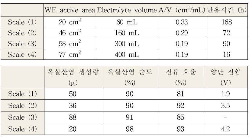 CO2의 옥살산염 전환 공정 scale-up test 결과