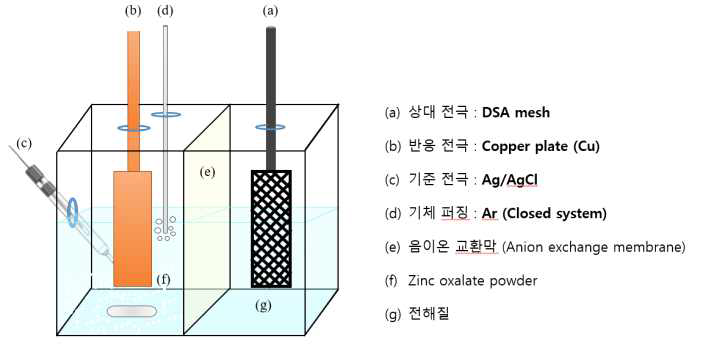 옥살산염의 옥살산 전환 공정 반응기(divided cell type)