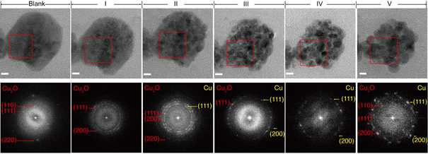 CuOx의 lithiation/delithiation step에 따른 Selected Area Electron Diffraction (SAED) 패턴 분석 결과