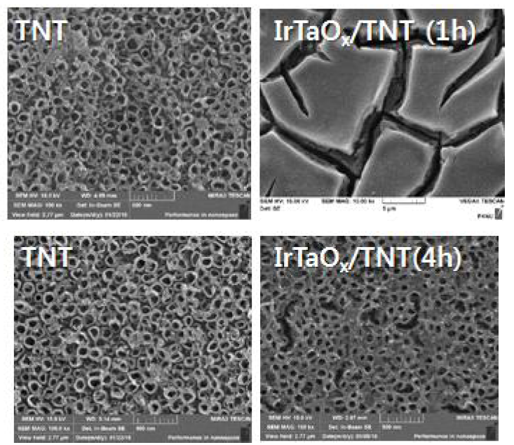 SEM 이미지. (위) TNT (1h anodization), IrTaOx/TNT (1h) (아래) TNT (4h anodization), IrTaOx/TNT (4h)