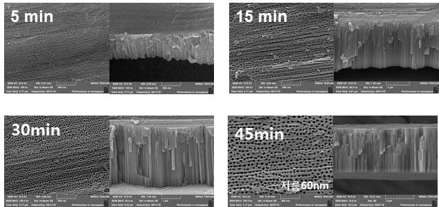 TNT anodization 시간 변화에 따른 nanotube 길이 및 기공 크기 변화