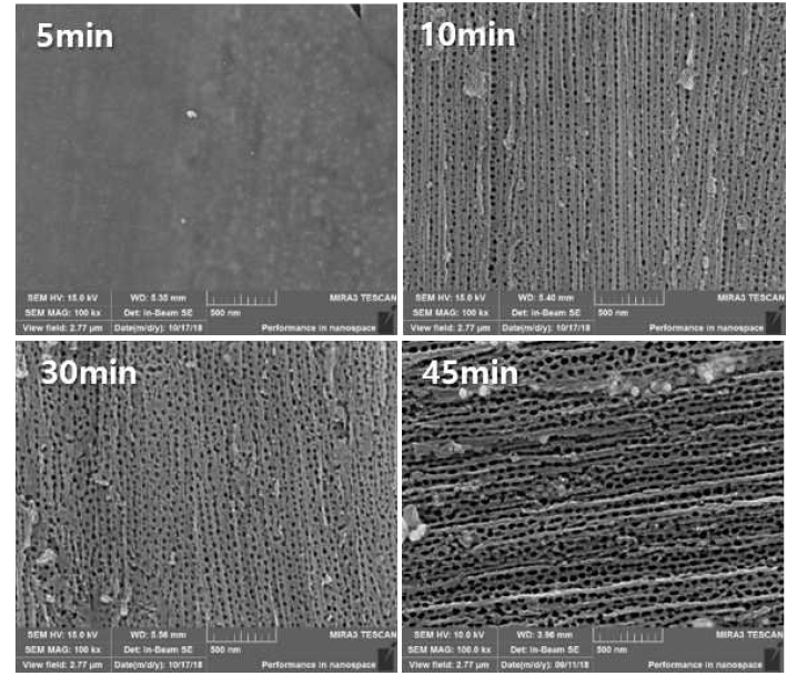 Anodization 시간에 따른 IrTaOx/TNT 전극의 SEM 이미지