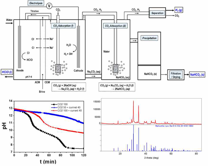 Cl- 산화 전기화학셀을 연계한 CO2 화학적 전환 시스템