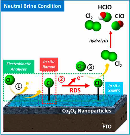 중성 pH에서 Co3O4 나노입자 표면에서의 염소이온산화반응 메커니즘