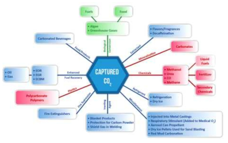 DOE의 CO2 전환 기술 맵