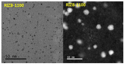 2-3 nm의 크기로 고분산된 Ru, Ir 나노입자