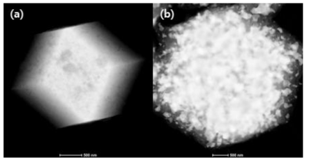 HAADF-STEM을 통해 관찰한 합성된 (a) 단일금속촉매와 (b) 복합금속촉매의 이미지