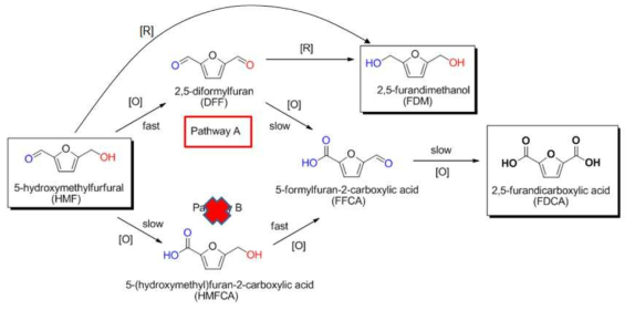HMF 산화반응에 의한 FDCA 생성 반응경로