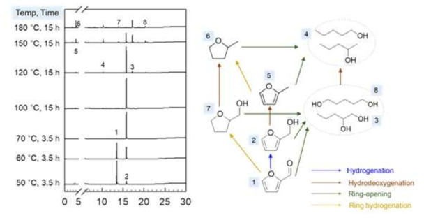 Furfural을 이용한 수소화 반응 GC 결과 및 반응경로