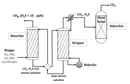 바이오가스로부터 황화수소 분리용 흡수/흡착 공정도