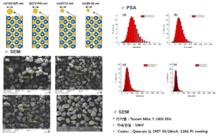 Al2O3 지지체 particle size