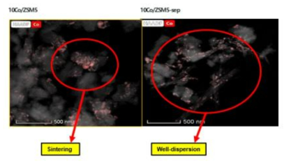 반응 후 촉매 10Co/ZSM5와 10Co/ZSM5-sep의 TEM 분석