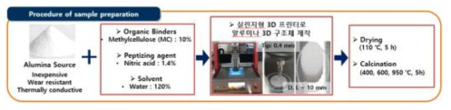 3D 알루미나 구조체 제작 과정