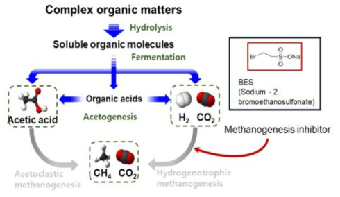 BES를 이용해 메탄균을 저해해둔 상태에서의 혐기성 소화과정