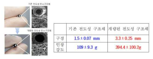 개량된 전도성 탄소구조체의 물리적 특성