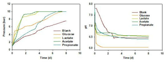 사용 기질에 따른 내부 압력 및 pH 변화