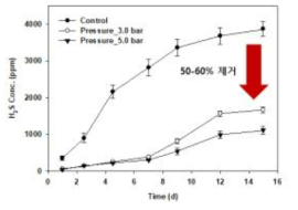압력에 따른 황화수소 농도 변화