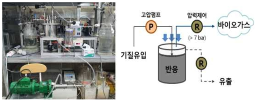 연속 고압 CSTR 운전 시스템