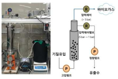 연속 고압 UASB 운전 시스템