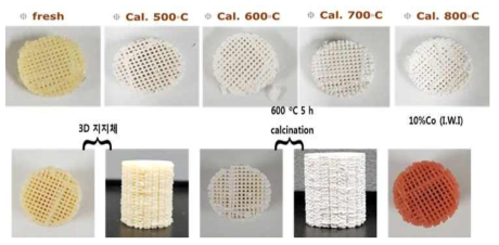 3D 프린팅을 이용해 제작된 ZSM-5 3D 구조체, 온도에 따른 소성체, Co가 담지된 소성체