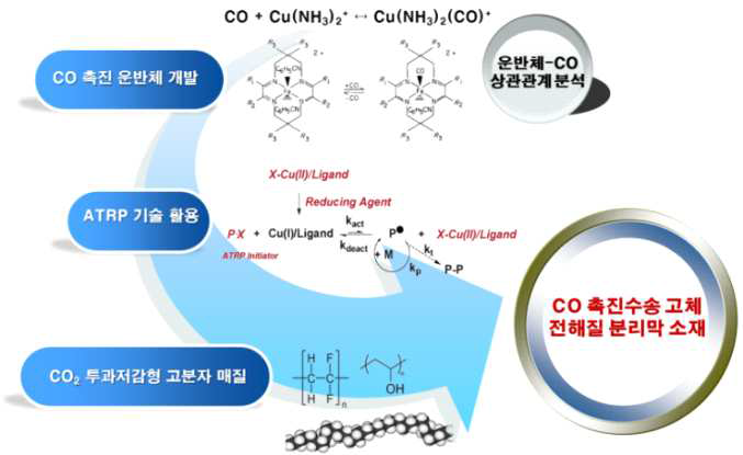 CO 촉진수송 고체 전해질 분리막 소재 개발 개요