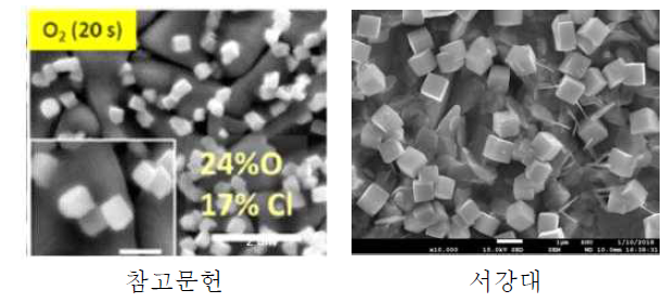 생성된 CuOx nano cube 관찰 (SEM image)