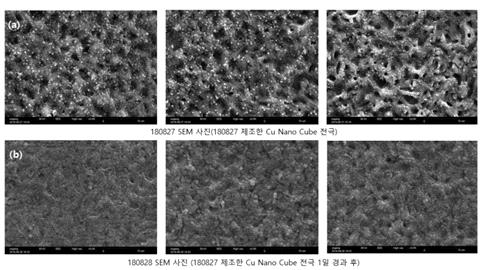 제조한 Cu nano cube 전극의 시간 경과에 따른 SEM 사진 (a) 제조한 당일 (b) 1일 경과 후