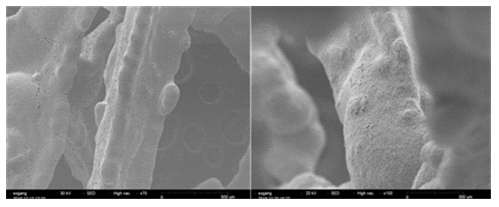다공성 Cu foam 기반 전극 SEM 사진 (x 100) (왼쪽)기본 Cu foam, (오른쪽) Cu(OH)2 foam 전극
