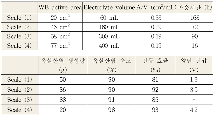 CO 의 옥살산염 전환 공정 scale-up test 결과2