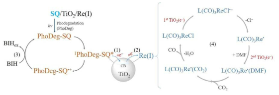 SQ기반 광촉매 내 이산화탄소전환(CO2 to CO)을 위한 전자 이동 경로와 메커니즘