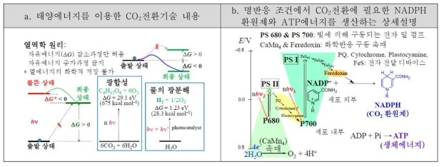 태양에너지와 물을 이용한 이산화탄소전환기술 개요: a. 태양에너지를 이용한 CO2전환가능성; b. 자연계 광합성에서 진행되는 CO2전환