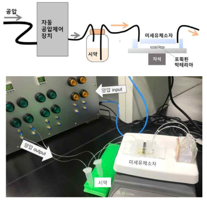 자동 유체 구동 장치를 이용한 미세유체공학 기반 On-chip FISH 실험 Setup