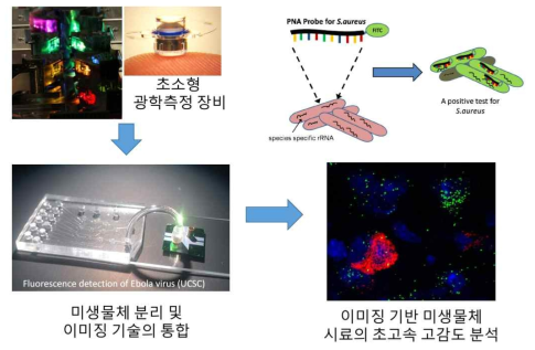 On-chip FISH 플랫폼 기반의 미생물 동정 기술 개념도