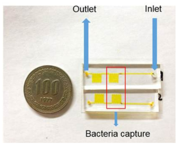 제작된 FISH용 미세유체소자의 사진
