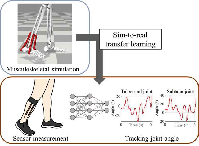 근골격계 시뮬레이션을 이용한 관절 측정 알고리즘 개념도