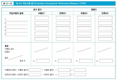 COPM 예시